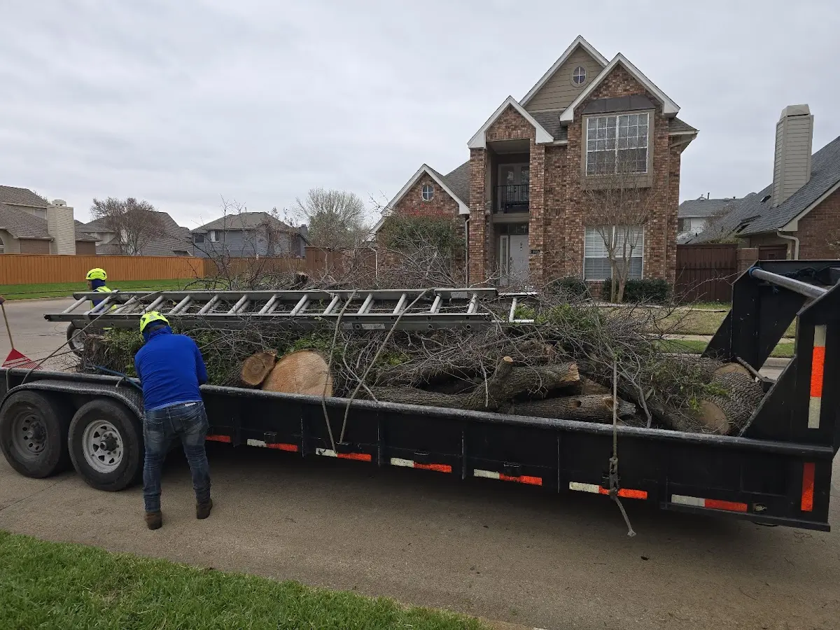 Expert Lot Clearing with proper safety equipment in Hartly